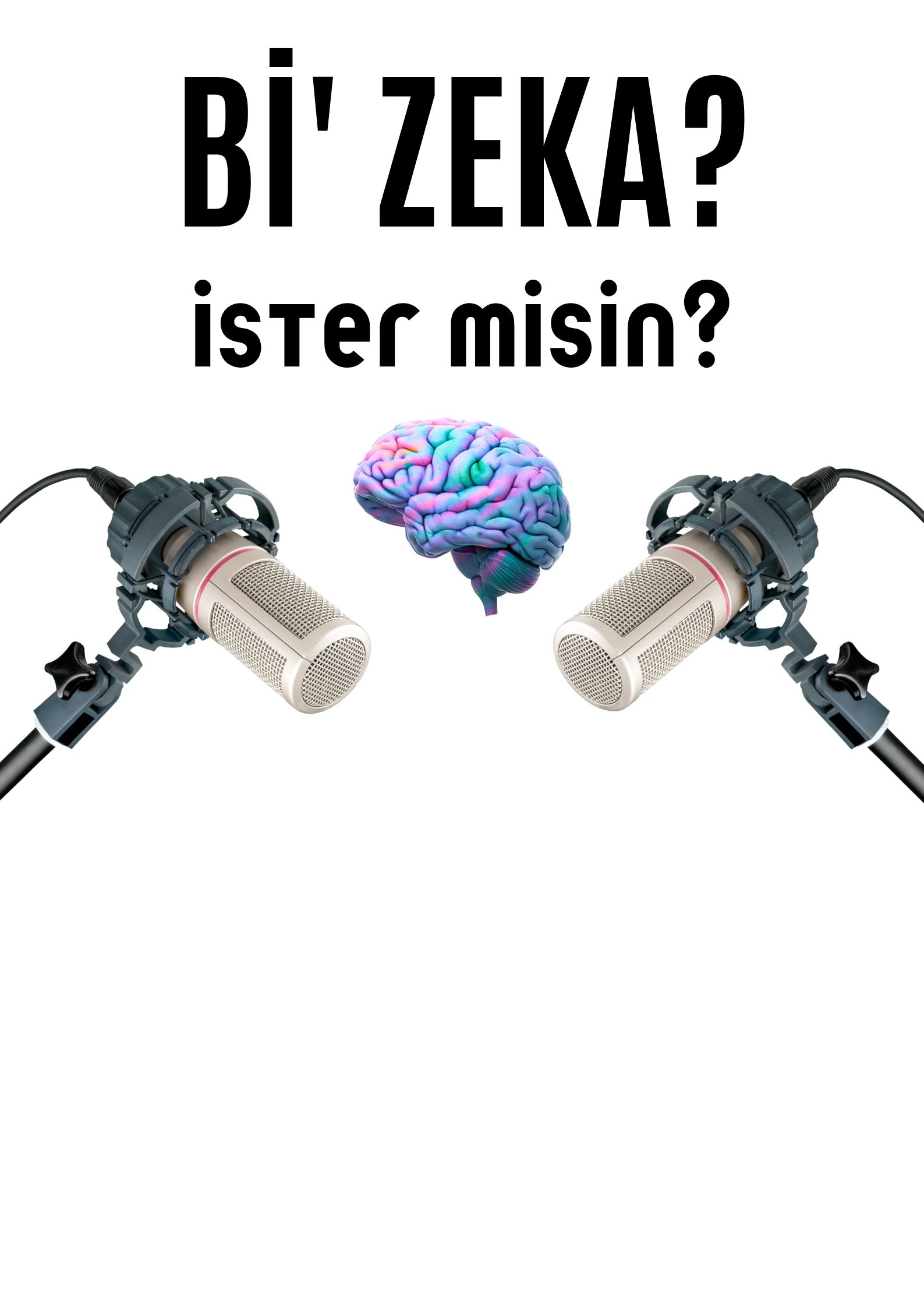 Bi'Zeka İster Misin?